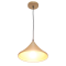 Pendant light PLS003