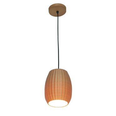 Pendant light PLS016