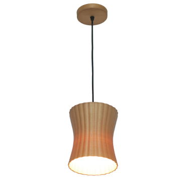 Pendant light PLS017