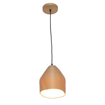 Pendant light PLS020